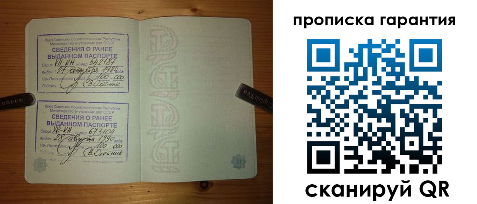 где прописаться в Фрязино